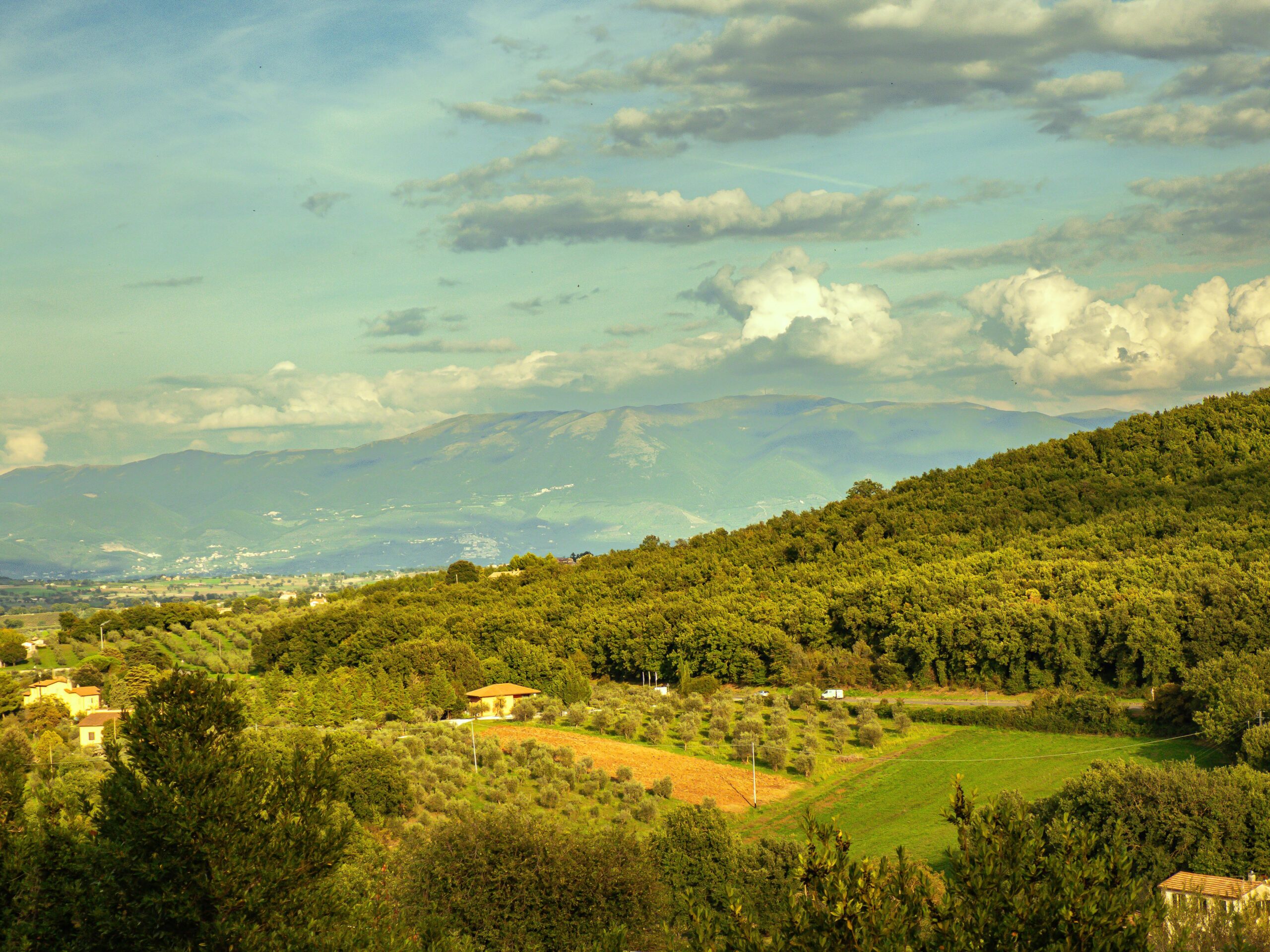 Montecchio